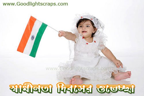 Independence day scraps greetings and ecards for orkut, facebook