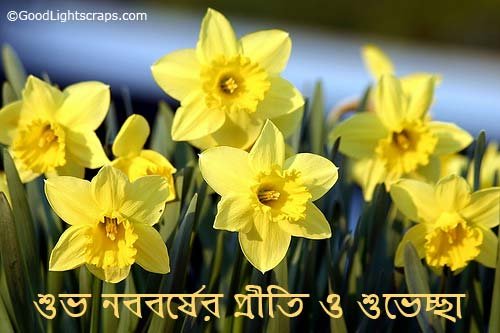 quotes about new year. bengali new year greetings,