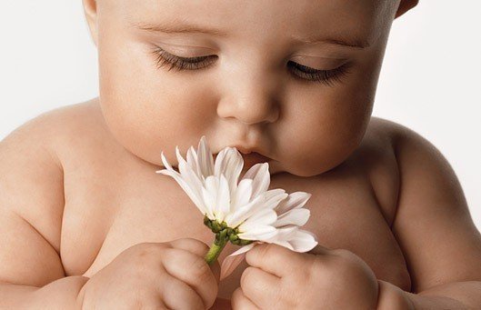 Cute Baby Pictures Graphics and Comments