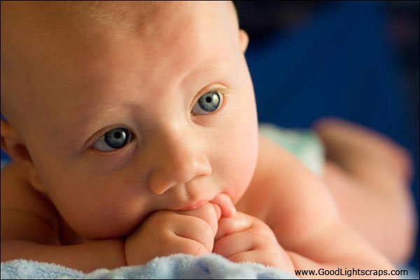 Cute Baby pictures, comments and Scraps