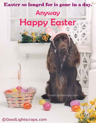 easter images, wishes and scraps for orkut, myspace, hi5, tagged, facebook