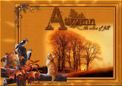 Fall Comments, animated orkut scraps, images, greetings