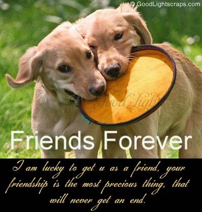 friends forever pictures. Forever Friends Comments