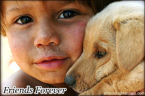 Friendship Quotes and Sms-21 friendship quotes sms. Friendship Quotes and Sms-21