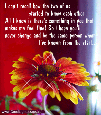 Orkut Myspace Friendship scraps, graphics and quotes