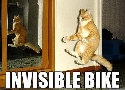 Funny cats image scraps,