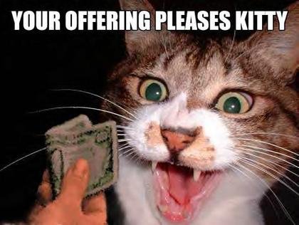 funny-animals-15.jpg