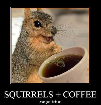 funny squirrels. Funny Squirrels Scraps for