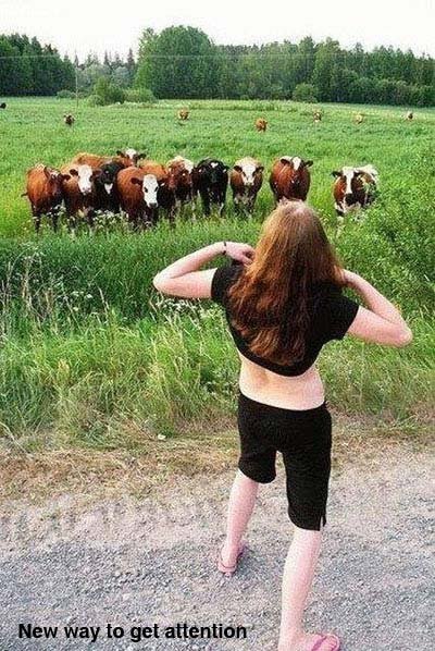Funny Animals Pictures, Funny funny profile pictures. Funny Animals Pictures, Funny