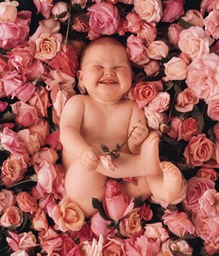 Funny Baby Pictures Graphics and Comments