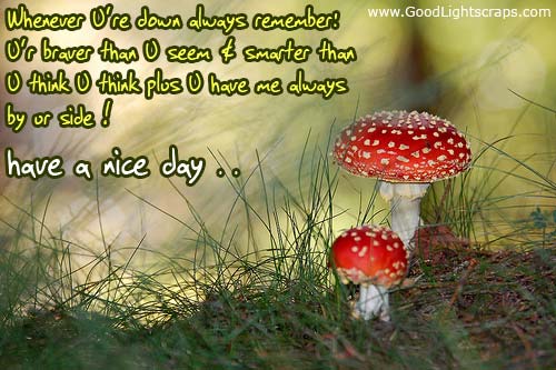 Good day scraps, graphics and comments for myspace, orkut, friendster