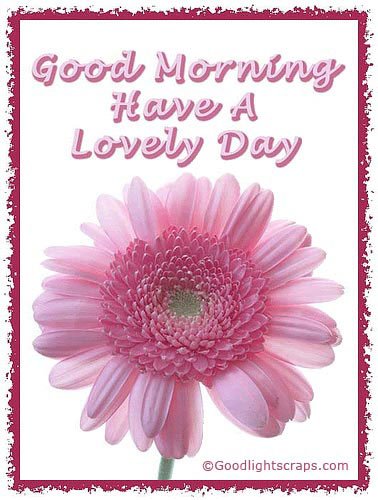 Good Morning Orkut Scraps Graphics and Comments