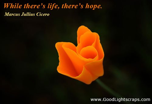 Life Sayings Graphics Quotes and Orkut Scraps Life Sayings Graphics Quotes and Orkut Scraps