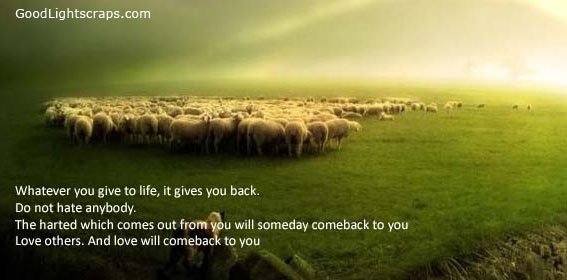 Life Scraps, Quotes, Graphics for Orkut, Facebook