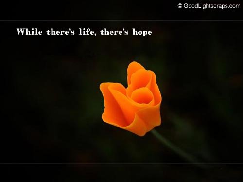 Life Orkut Myspace Comments, Quotes, Scraps, Graphics and Glitters