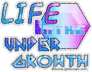 Life Orkut Myspace Comments, Quotes, Scraps, Graphics and Glitters