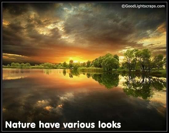 Nature Scraps, nature graphics, and nature images for Orkut, Myspace, Facebook, Hi5, Tagged