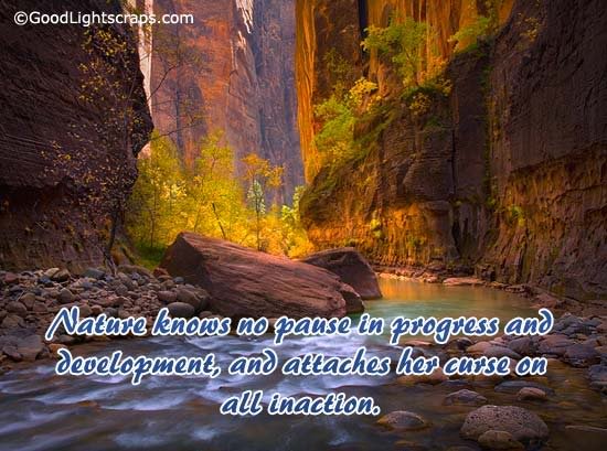 Nature Scraps, nature graphics, and nature images for Orkut, Myspace, Facebook, Hi5, Tagged