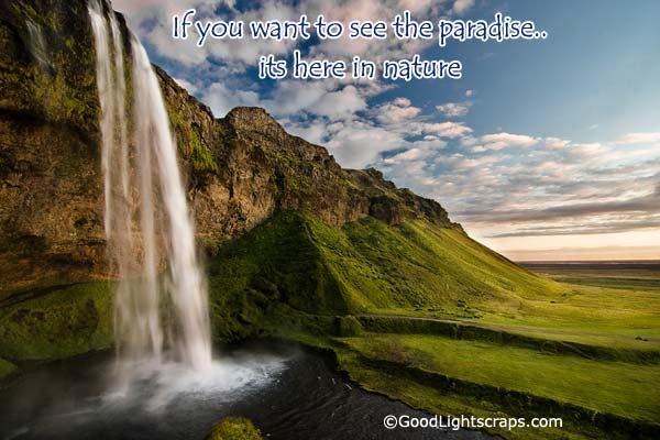 Nature Scraps, nature graphics, and nature images for Orkut, Myspace, Facebook, Hi5, Tagged