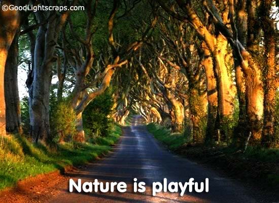 Nature Scraps, nature graphics, and nature images for Orkut, Myspace, Facebook, Hi5, Tagged