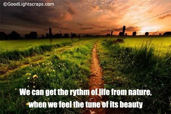 Nature Scraps, nature graphics, and nature images for Orkut, Myspace, Facebook, Hi5, Tagged