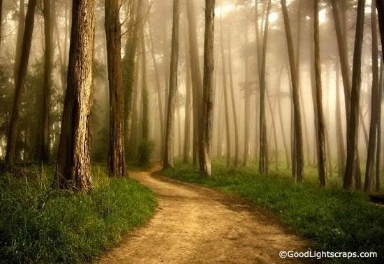 Nature Scraps, nature graphics, and nature images for Orkut, Myspace, Facebook, Hi5, Tagged