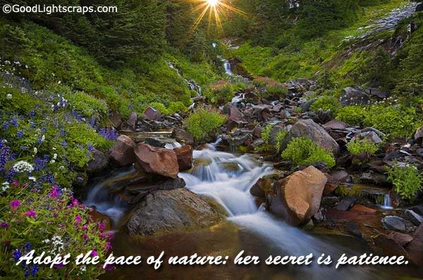 Nature Scraps, nature graphics, and nature images for Orkut, Myspace, Facebook, Hi5, Tagged