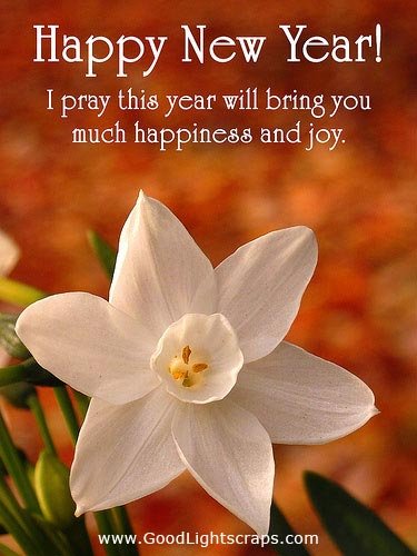new year scraps, comments, cards, images for Orkut, Myspace, Facebook, friendster