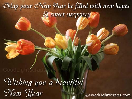 http://www.goodlightscraps.com/content/new-year-greetings-2011/new-year-greetings-11.jpg