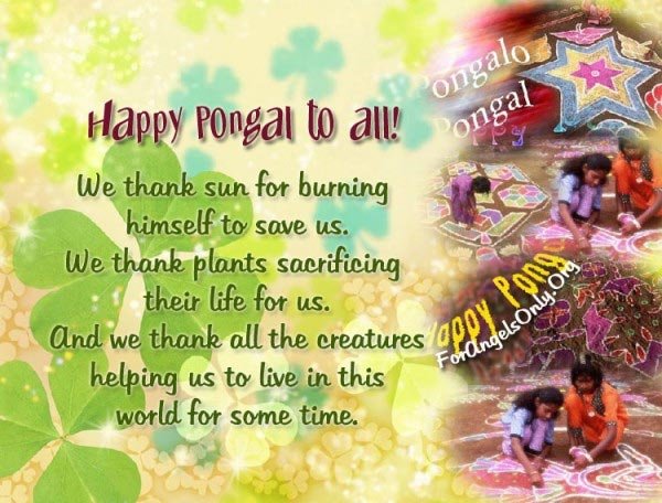 Pongal Greetings, Pongal Orkut Scraps, Graphics