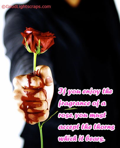 Rose images, rose scraps, rose day wishes for Orkut, Myspace