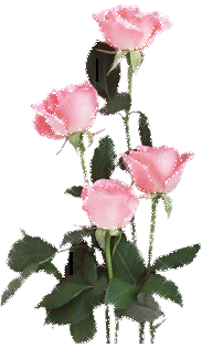 Orkut Myspace Rose Scraps, Graphics, Comments and Glitters