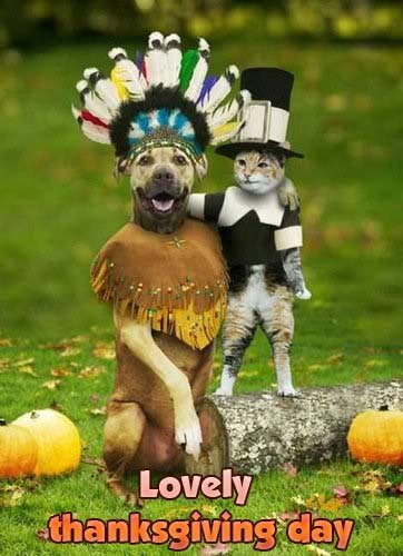 Thanksgiving Cards, Comments, Graphics and Pictures for Orkut, Myspace, Facebook, Hi5, Tagged