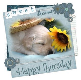 Orkut Myspace Thursday Graphics and Comments