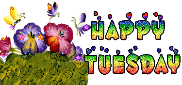 Orkut Myspace Tuesday Graphics and Comments