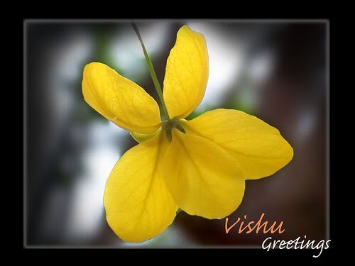 Vishu Cards, Vishu Greetings and Glitter Graphics for Myspace, Orkut