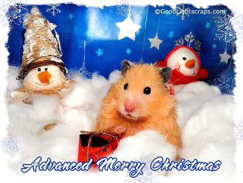 xmas glitter graphics, christmas comments, graphics, images for Orkut, Myspace, Facebook, friendster