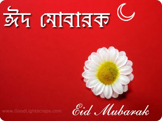 Eid Mubarak orkut scraps, greetings, myspace comments