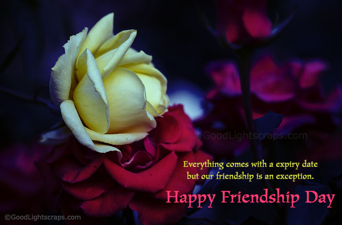 Friendship day cards, images & greetings for Facebook