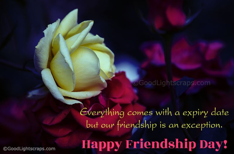 one white and another pink rose together with a friendship day quote: Everything comes with a expiry date but our friendship is an exception.