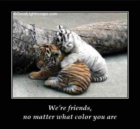 friendship scraps, images, quotes graphics for orkut, myspace