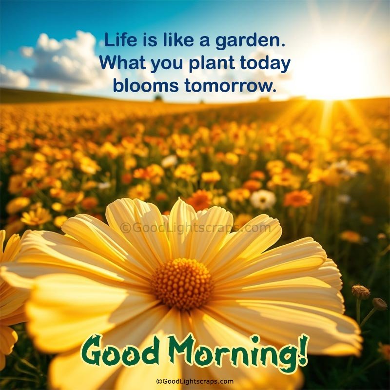 A beautiful flower garden scene with a sunflower smiley saying good morning