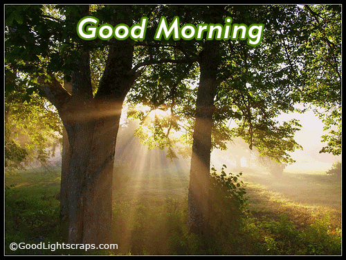 Orkut Myspace Good Morning Scraps Graphics and Comments