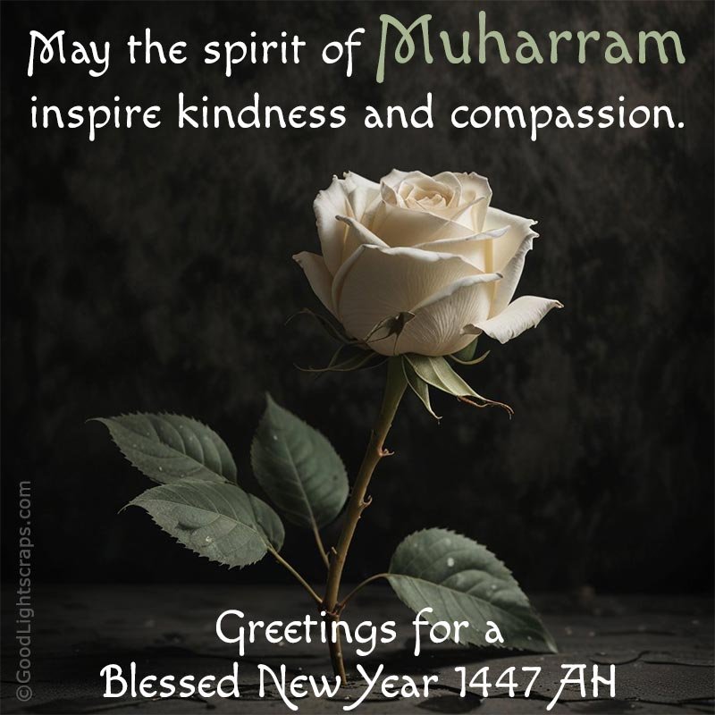 May the spirit of Muharram inspire kindness and compassion. Greetings for Blessed New Year 1447 AH.