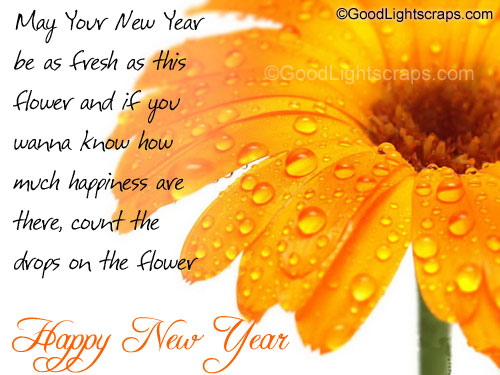 New Year Flower Scraps, Graphics, Comments for Orkut, Myspace, Facebook