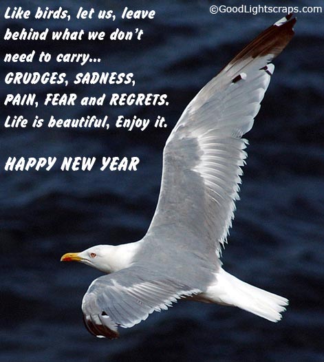 New Year Greetings Scraps, Graphics, Comments for Orkut, Myspace, Facebook
