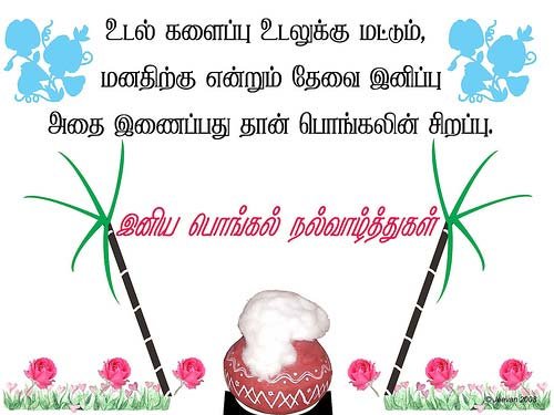 Pongal Greetings, Pongal Orkut Scraps, Graphics