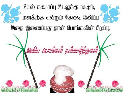 Pongal Greetings, Pongal Orkut Scraps, Graphics