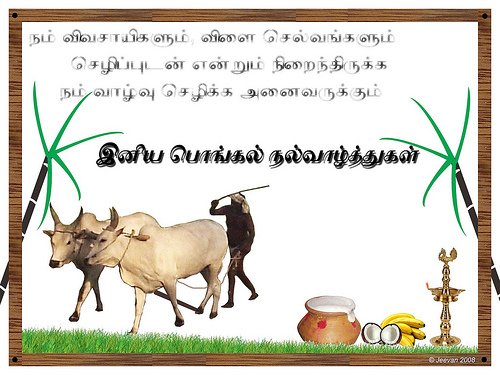 Pongal Greetings, Pongal Orkut Scraps, Graphics