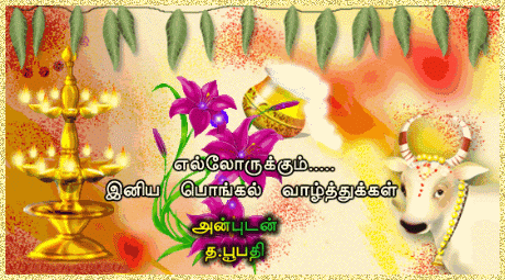 Pongal Greetings, Pongal Orkut Scraps, Graphics
